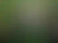 Ранние бронирования стали главным трендом аренды загородных домов в Подмосковье_3262