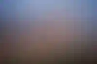 «Брусника» выкупила завод «Красная заря» на Охте в Петербурге за 892 млн рублей_4883