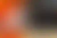 В Подмосковье открыли торги на право застройки 48 га земли во Фрязино_658