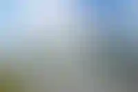 В Омской области до 2028 года вложат в строительство логопарков 30 млрд рублей_1040