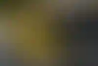 В начале мая стоимость аренды квартир выросла только в Москве и Петербурге_3244