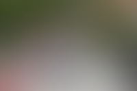 В России введут ипотечные каникулы на 18 месяцев для семей с детьми_361