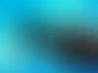 Dogma не выйдет на биржу в ближайшие три года_4972