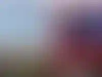 Число довольных условиями продажи квартир россиян упало за месяц до 33%_5112