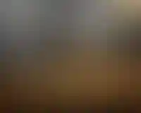 Самые большие кухни в квартирах Рязанской области_3877