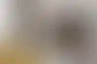 Как открыть агентство недвижимости в 2025 году: пошаговая инструкция_2119