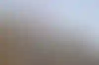 ЦБ предложил новые условия оценки финпоказателей корпоративных заемщиков_4316