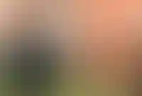 Гибкий график и комиссия в миллион: кто продает элитную недвижимость_2949