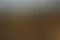 В Ленобласти разрабатывают проект делового квартала с высотками — «Ленинград-Сити»_5686