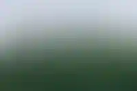 Застройщикам могут разрешить отдавать в залог банкам права на участки под КРТ_988