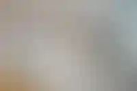 Девелопер GloraX купил 174 га в Ленинградской области под реновацию_302