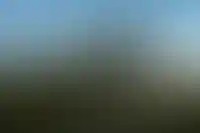 Продажи новостроек в июне 2025 года упали вдвое по сравнению с прошлым годом_3966