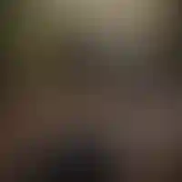 Что такое глэмпинги и загородные парк-отели, и почему это круто?