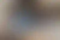 По итогам января выдача ипотечных кредитов упала на 54%_2444