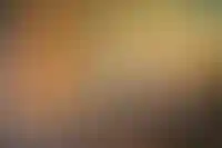 Россельхозбанк планирует возобновить сельскую ипотеку_3688