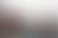 Зубаревич: мигранты со стройки уходят в сферу услуг_1290