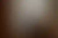 Жить отдельно от родителей большинство россиян начинают в 26 лет_2803