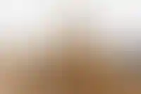 Выпуск спецтехники для строительства в 2024 году сократился из-за импорта_2418