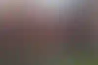 «Патрики» стали лидером в Москве по сокращению доли ресторанов в стрит-ритейле_5226