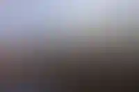 Санкт-Петербург стал лидером по числу квартир-студий в новостройках среди регионов РФ_1164