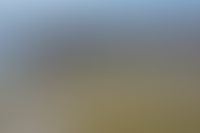 Запрет на продажу госземель может затронуть территории более 8 тыс. зон затопления и подтопления_894