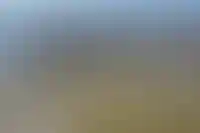 Запрет на продажу госземель может затронуть территории более 8 тыс. зон затопления и подтопления_894