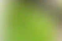 Группа ДОМ.РФ и ГК ФСК займутся развитием платформы данных для стройотрасли