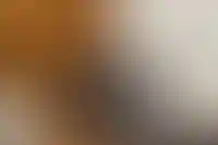 Мэр Сочи Алексей Копайгородский решил уйти в отставку_288