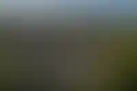 BN&nbsp;Group: &laquo;Инвестиции в&nbsp;инфраструктуру растят популярность ИЖС&raquo;_452