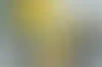 В Сбербанке опровергли планы на покупку «Инграда»_595