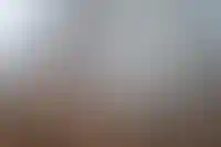 ГК «Отрада» стала соинвестором Level Group в проекте «Город в лесу» в Подмосковье_271