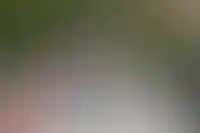 За 2023 год меньше половины семей вложили маткапитал в покупку жилья_257