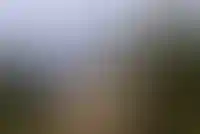 Минсельхоз разработал поправки, которые предлагают пересмотреть условия сельской ипотеки_825