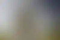 Индия может стать одним из основных поставщиков трудовых мигрантов в Россию_2579