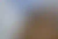 Цены на жилье на вторичном рынке перешли в режим стагнации_1285