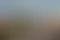 «Самолет» впервые выйдет в Амурскую область_1080