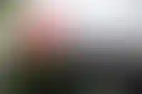 Акции строительного сектора стали лидером по росту на МосБирже_2428