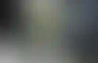 Структура ВТБ продала гостиницу Hyatt Regency Moscow_4772