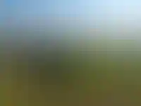 Sminex продаст неиспользуемые земли и крупные логистические центры в Подмосковье