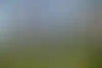 «Движение» обновило программы урбан-туров по городам России и Китая для девелоперов_3971