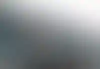 «Внуково» не вступал в торги на повышение за «Домодедово»_5517