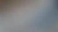 ВТБ с 13 ноября возобновит выдачу семейной ипотеки_1633
