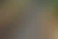 Предприятия ЖКХ обяжут внедрять собственные инвестпрограммы модернизации_3142