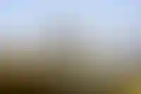 50% компаний, участвующих в инфраструктурной стройке, на грани банкротства — мнение_3605