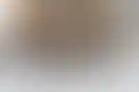 Адвокату Полины Лурье передали ключи от квартиры Ларисы Долиной_5424