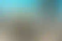 Москва побила рекорд по количеству сделок с эскроу в июне 2024 года_744