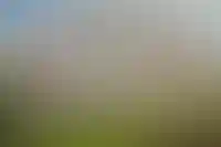 Дома с чистовой отделкой в ИЖС в 2024 году продавались в 1,7 раза дороже «коробок»_2159