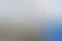 Мэр Ростова-на-Дону объяснил мораторий на выдачу РНС нехваткой земли_2218