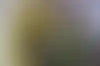 Т-Банк приостановит выдачу семейной ипотеки на 2 недели из-за ее ужесточения 1 февраля_5408