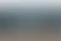 «Внуково» и «Шереметьево» примут участие в аукционе по продаже «Домодедово»_5463